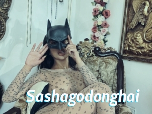 Sashagodonghai
