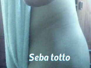 Seba_totto