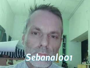 Sebanal001