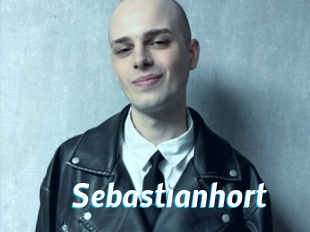 sebastianhort J Mine