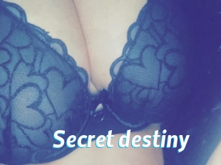 Secret_destiny