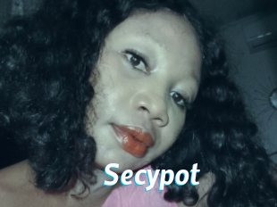 Secypot