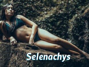 Selenachys