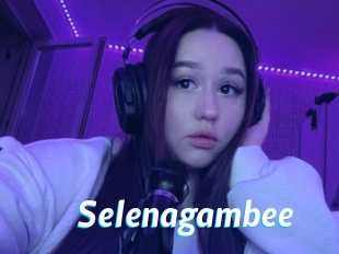 Selenagambee