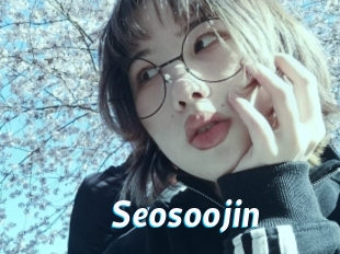 Seosoojin