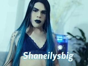 Shaneilysbig