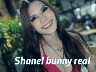 Shanel_bunny_real