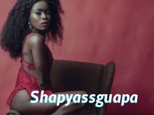 Shapyassguapa