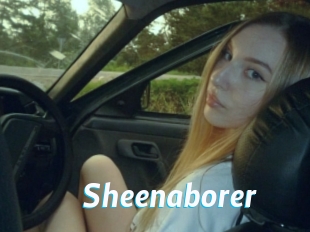 sheenaborer J Mine