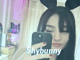 Shybunny