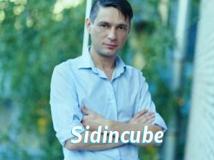 Sid_incube
