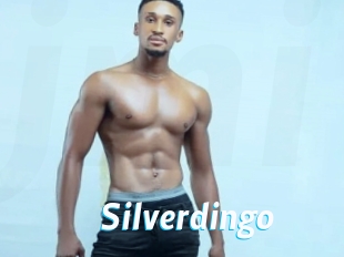 Silverdingo