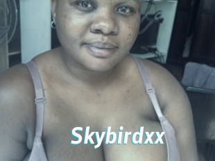 Skybirdxx