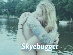 Skyebugger