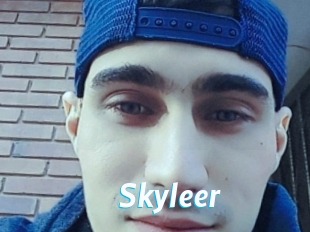 Skyleer