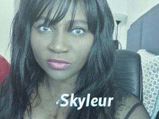 Skyleur