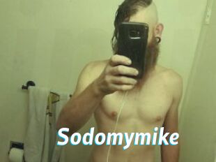 Sodomymike