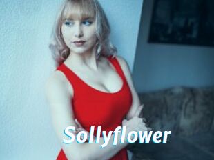 Sollyflower