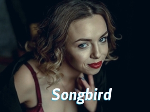 songbird J Mine