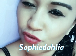 Sophiedahlia