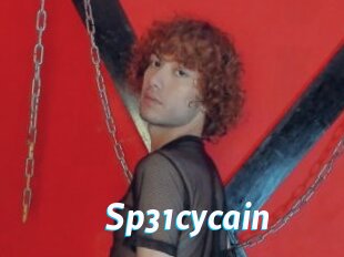 Sp31cycain