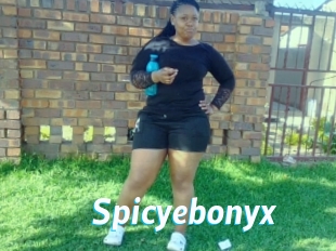 Spicyebonyx