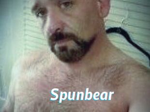 Spunbear