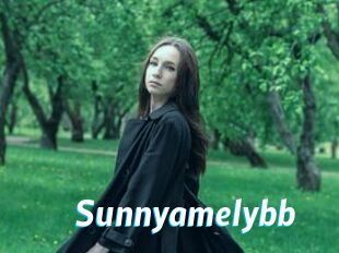 Sunnyamelybb