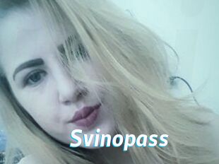 Svinopass