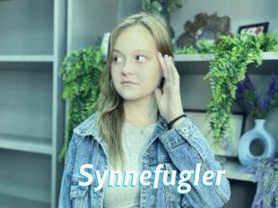 Synnefugler