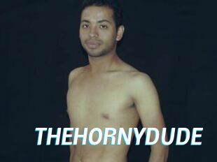 THEHORNYDUDE