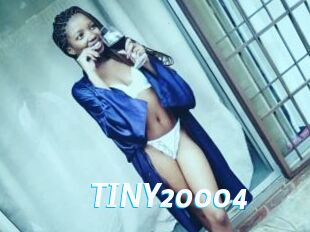 TINY20004