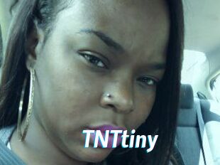 T_N_Ttiny