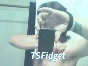 TSFidget