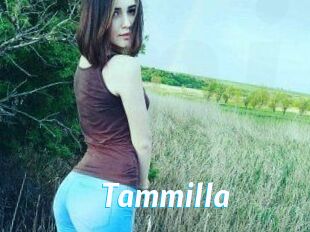 Tammilla_