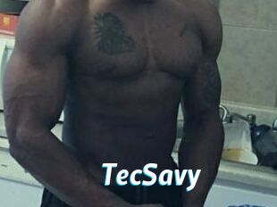 TecSavy