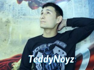 TeddyNoyz