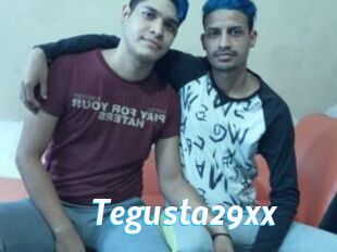 Tegusta29xx