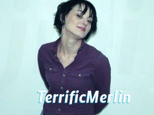 TerrificMerlin