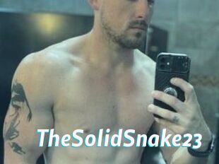 TheSolidSnake23