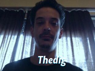 Thedig
