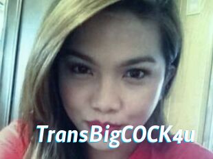 TransBigCOCK4u