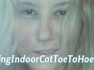 TravellingIndoorCatToeToHoe