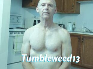 Tumbleweed13