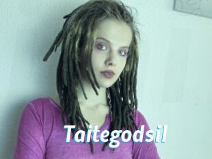 Taitegodsil