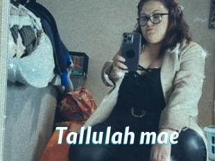 Tallulah_mae