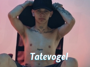 Tatevogel