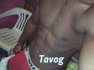 Tavog