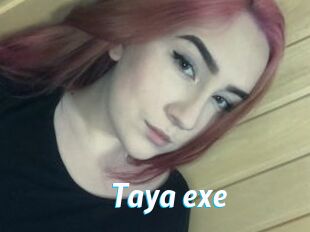 Taya_exe