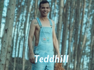 Teddhill